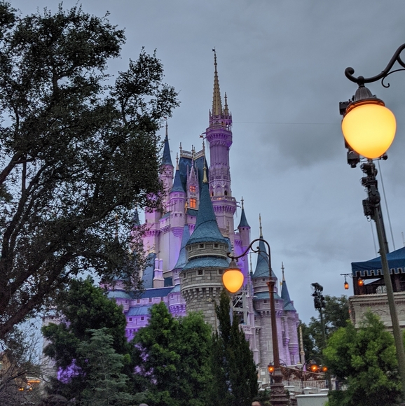 Meet your *Posh Ambassador*, Jessie - Picture 9 of 10